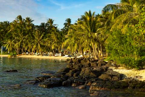 Beutiful vietnamese beach on the Phu Quoc island with many palms Stock Photos