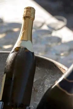 Beverage at a buffet Stock Photos