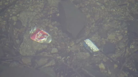 Beverage can on the bed of a lake despite being worth 2NOK Stock Footage 169571725