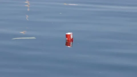 Beverage can floating on the water in a seaport Stock Footage 233013837