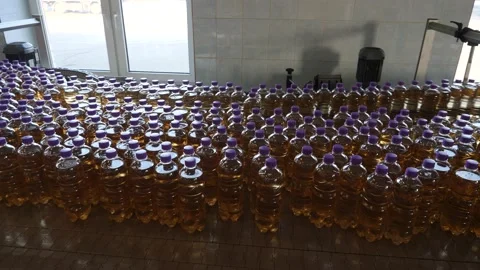Beverage filling line Stock Footage 233173988