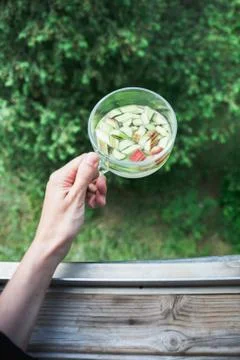 Beverage of rhubarb Stock Photos