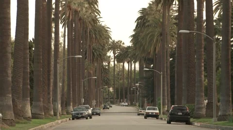 Beverley Hills  Stock Footage 933936