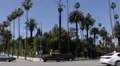 Beverly Drive Luxury Residence Rodeo Drive Sightseeing Los Angeles Cars Traffic HD Footage