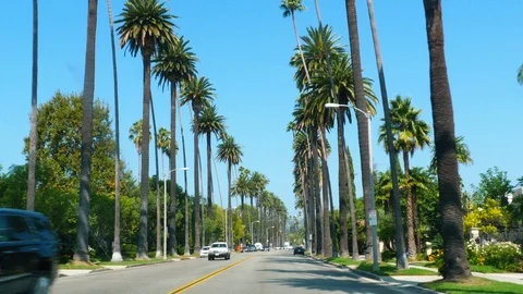 Beverly Hills from a car Stock Footage 94382291
