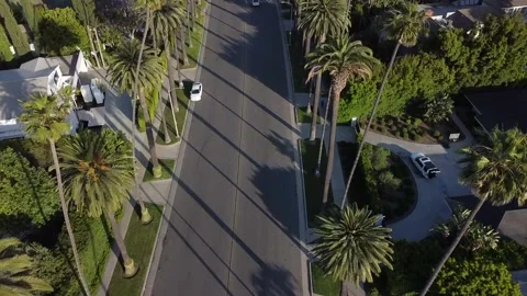 Beverly Hills Dr. Aerial view Stock Footage