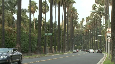 Beverly Hills Vidéo 596900