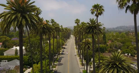 Beverly Hills Stock Footage 86256427