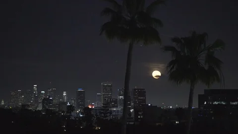 Beverly Hills seen at night Stock Footage 87055054