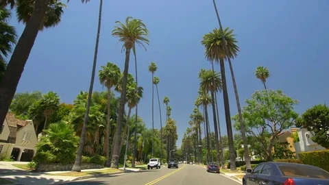 Beverly Hills Street with Palm Trees Stock Footage