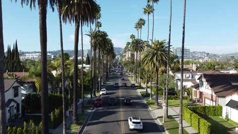 Beverly Hills streets Stock Footage 231233991