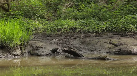 Beverslide Stock Footage 49158935