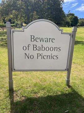 Beware of Baboons warning sign 写真素材