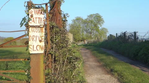 Beware Cattle Crossing Drive Slowly Sign  Country Lane Stock Footage 62760710
