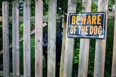 Beware of dog Foto stock