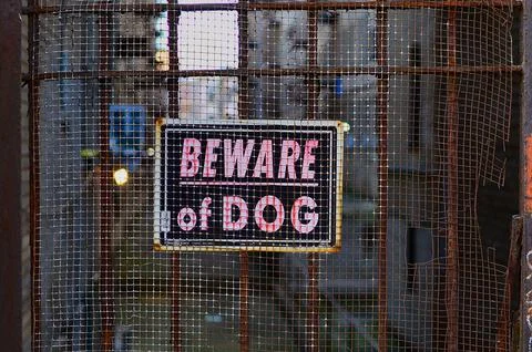 Beware of dog  Stock Photos