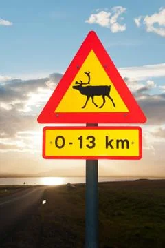 Beware of reindeers Foto stock