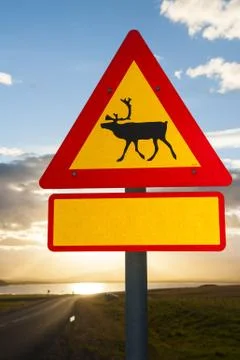 Beware of reindeers Foto stock