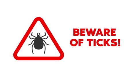 Beware-of-ticks Stock Footage 276703574