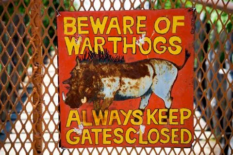 Beware of warthogs Stock Photos