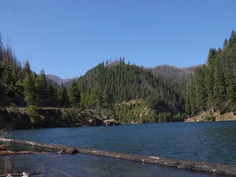 Beyond Blue River Stock Photos