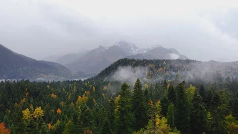 Beyond the forest snow capped mountain peaks 動画素材 229849535