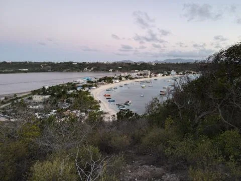 Beyond the trees Stock Photos