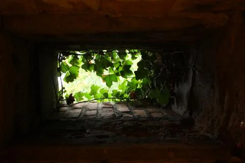 Beyond the wall Stock Photos