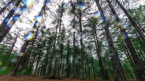 Beysehir time lapse Vidéo 82905739