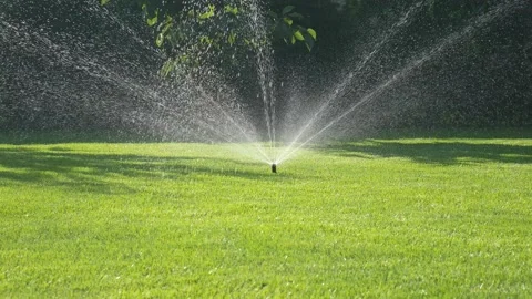 Bez imeni249 Stock Footage 229727390