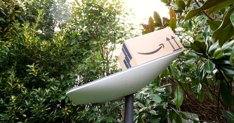 Bezos and Musk Collaboration: Amazon Box on Starlink Stock Footage 303707180