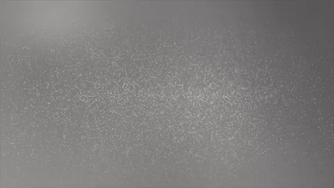 Bg 7 haha Stock Footage 316877459