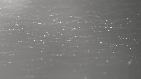 Bg 8 haha Stock Footage 316877450