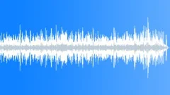 BGM with Trumpet for Premium Streamed Wildlife ClipsStock Music