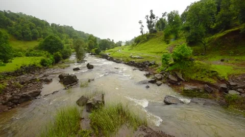 Bhandardara Stream Stock Footage 203467354