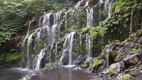 Bhuana Sari Waterfall 库存影片 237919133