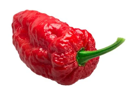 Bhut Jolokia ghost pepper, paths Stock Photos