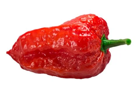 Bhut Jolokia ghost pepper, paths Stock Photos