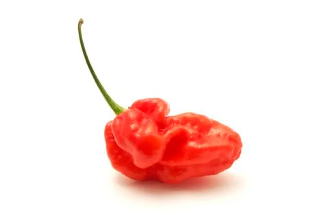 Bhut jolokia Stock Photos