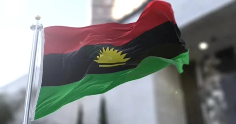 Biafra flag waving-seamless-loop-4k-60fps Video stock 346158964
