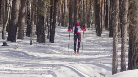 Biathlete Skiing through Forest Vidéo 153072802