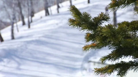 Biathlon Vídeo Stock 662956