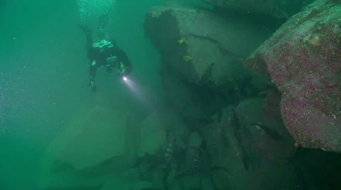 Bib fish &amp; diver with light Stock Footage 47859521