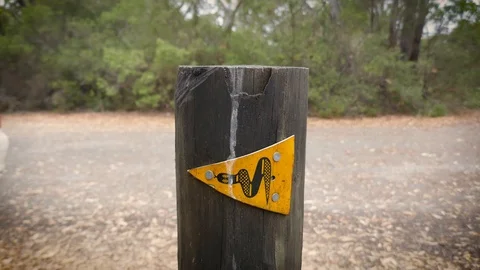Bibbulmun track markers between Denmark and Albany, Western Australia, timelapse Stock Footage 91799167