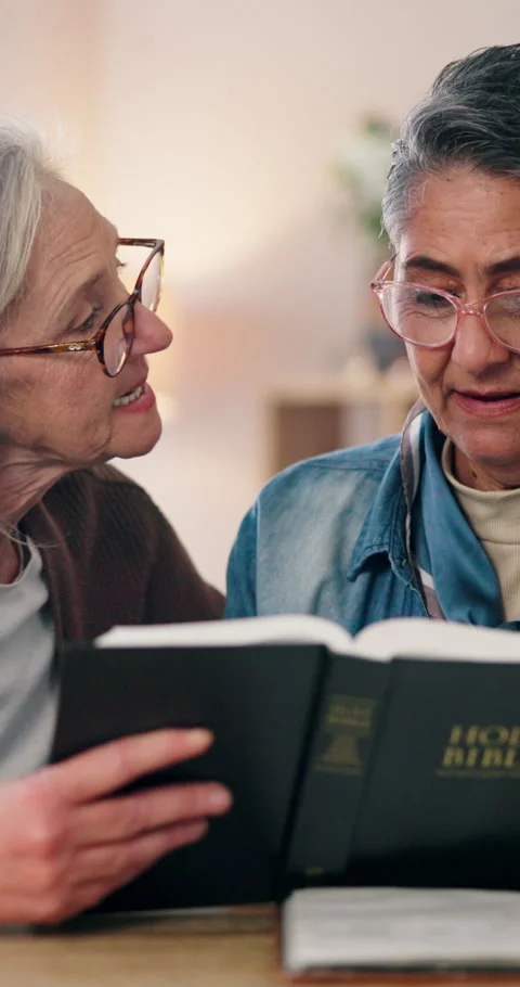 Bible, conversation and learning with mature women in home living room together Video stock 338222481