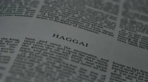 Bible-Haggai Stock Footage 12366384