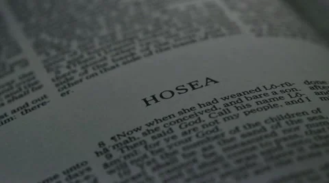 Bible-Hosea Stock Footage 12366415
