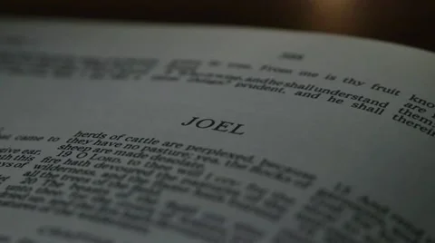 Bible-Joel Stock Footage 12365961