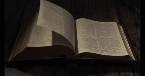 Bible page turning front view Stock Footage 168368509