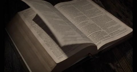 Bible page turning frontside view Video stock 168368428